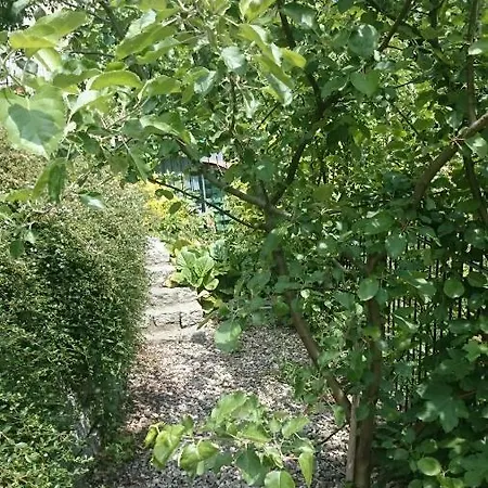 Jackowa Dom wakacyjny *